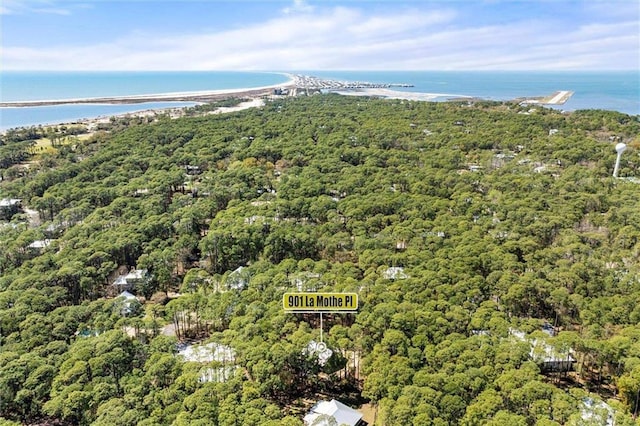 901 La Mothe Pl, Dauphin Island, AL 36528 - drone / aerial view with a water view