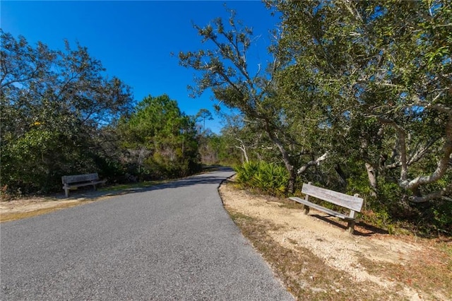 2455 Saltgrass Way, Orange Beach, AL 36561 - view of asphalt road