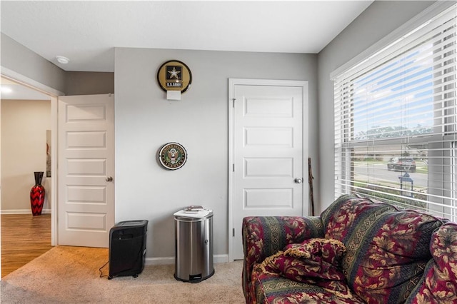 living area featuring carpet