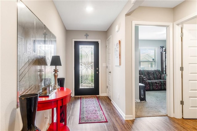 foyer entrance featuring wood-type flooring