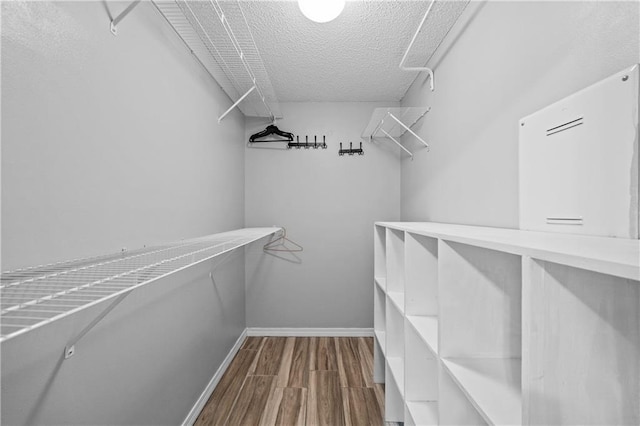 spacious closet featuring wood finished floors