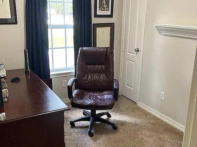 carpeted office space featuring a wealth of natural light and baseboards