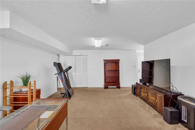 exercise area with light colored carpet and a textured ceiling