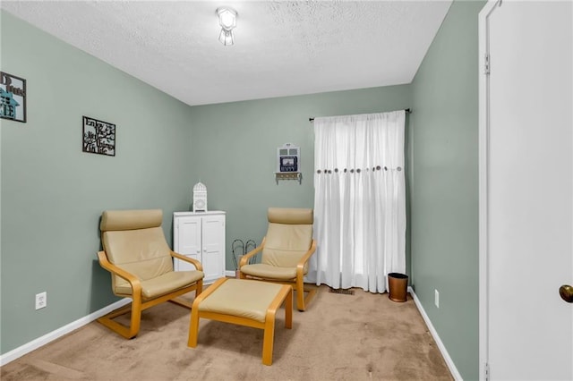 sitting room featuring light colored carpet and a textured ceiling