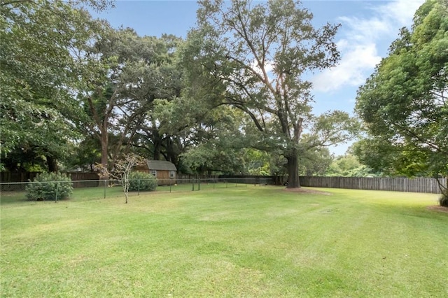 view of yard featuring a shed