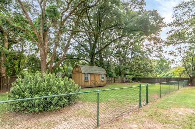 view of yard featuring a shed