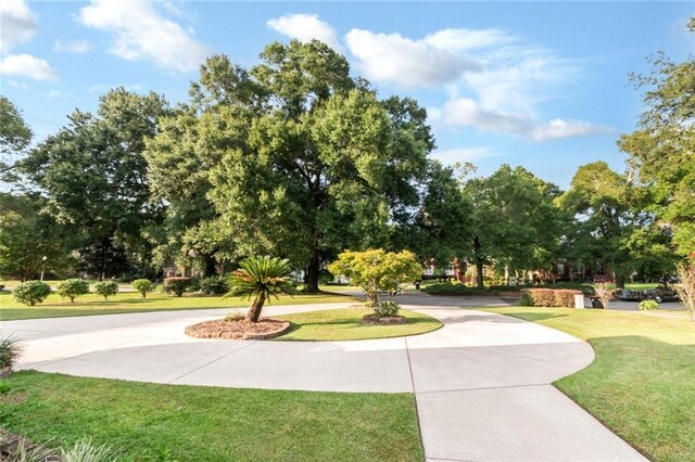 view of community with a yard