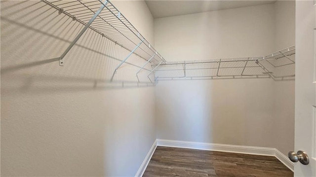 walk in closet with wood finished floors