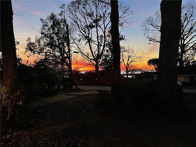 view of nature at dusk