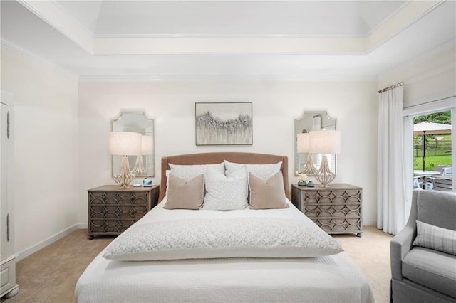 carpeted bedroom with crown molding and a raised ceiling