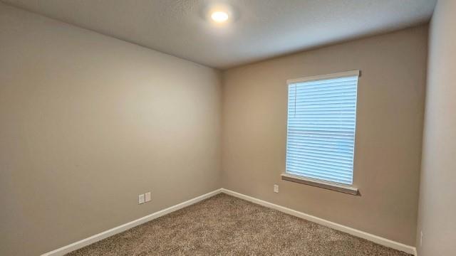 carpeted empty room with a healthy amount of sunlight and baseboards