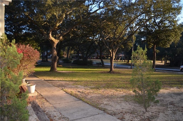 view of property's community featuring a yard