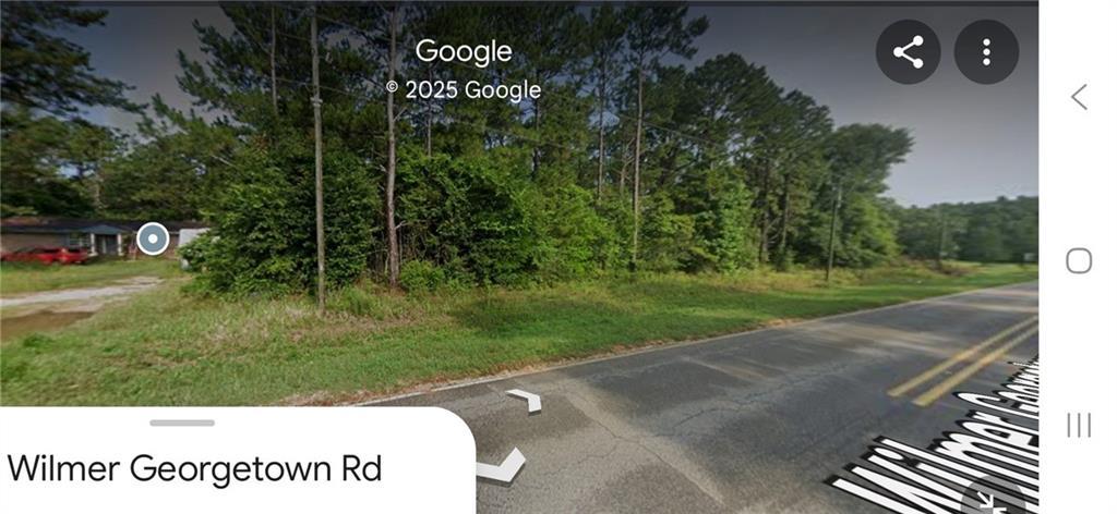 0 Wilmer Georgetown Rd, Wilmer, AL 36587