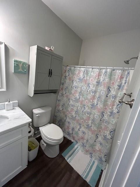 bathroom featuring toilet, hardwood / wood-style floors, and vanity