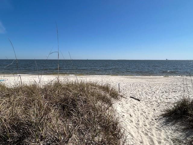 property view of water featuring a beach view