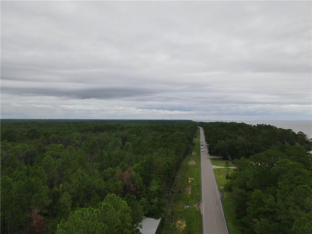 Listing photo 3 for 0 Dauphin Island Pkwy, Coden AL 36523