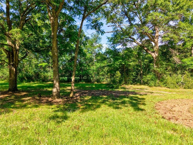 11331 Spring Lake Rd E, Chunchula, AL 36521
