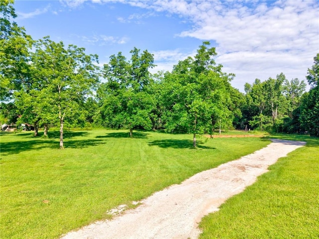 11331 Spring Lake Rd E, Chunchula, AL 36521