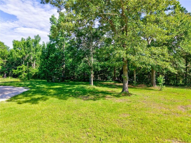 11331 Spring Lake Rd E, Chunchula, AL 36521