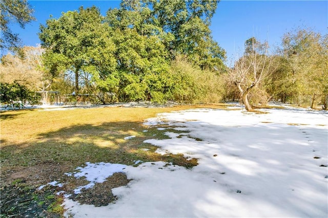 view of yard covered in snow