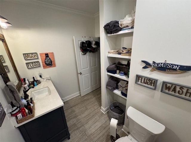 5541 Riverwood Lndg, Theodore, AL 36582 - bathroom featuring vanity, ornamental molding, and wood finished floors