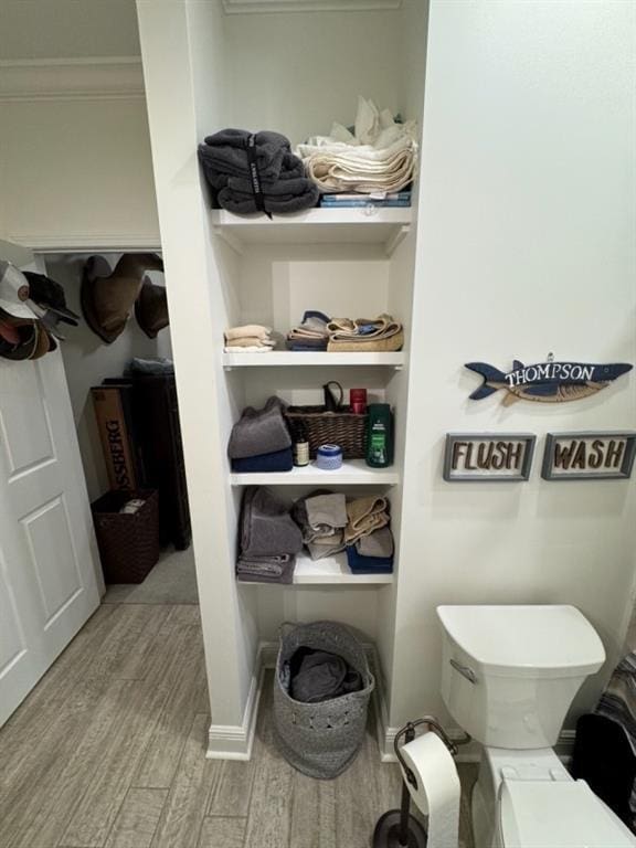 5541 Riverwood Lndg, Theodore, AL 36582 - view of closet