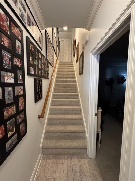 5541 Riverwood Lndg, Theodore, AL 36582 - staircase with crown molding