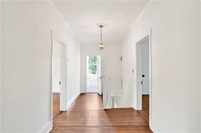 hall with hardwood / wood-style floors, crown molding, and baseboards