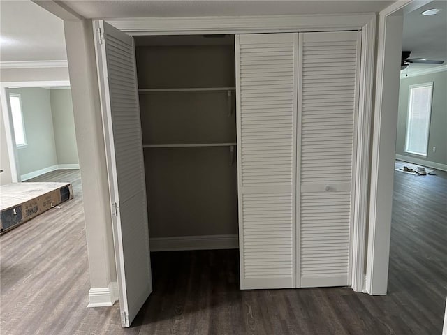 view of closet