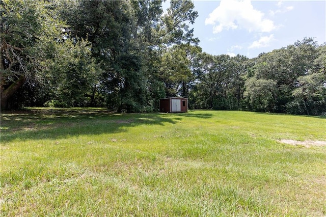 view of yard with a shed