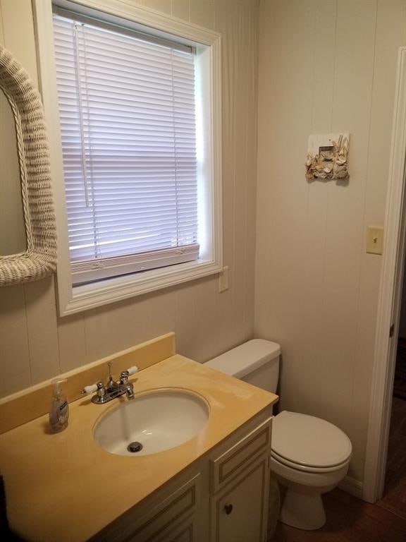 bathroom with plenty of natural light, toilet, and vanity