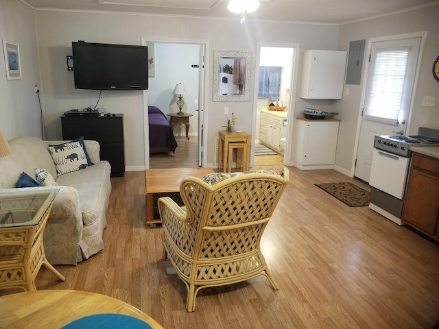 living room featuring electric panel, light hardwood / wood-style floors, and ornamental molding