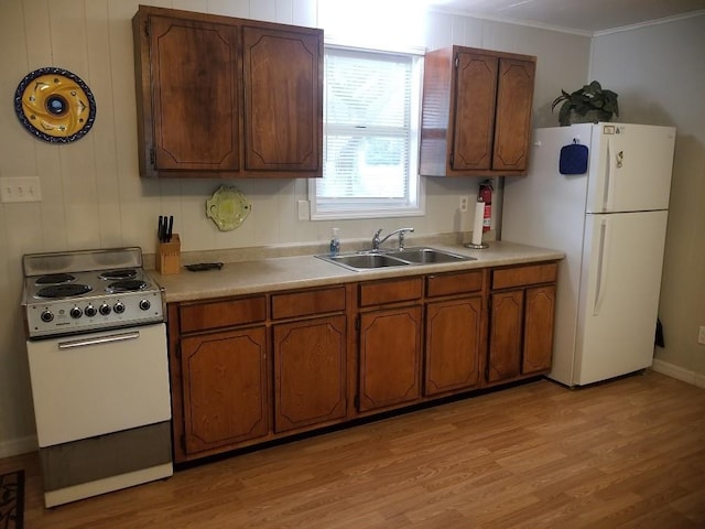 kitchen with crown molding, light wood-type flooring, white appliances, and sink