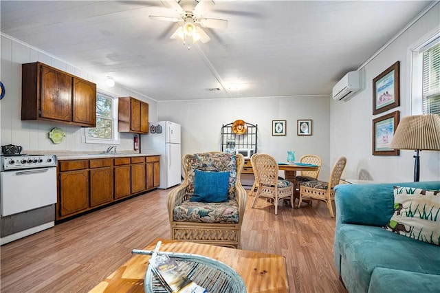 kitchen featuring white appliances, a wealth of natural light, and light hardwood / wood-style flooring