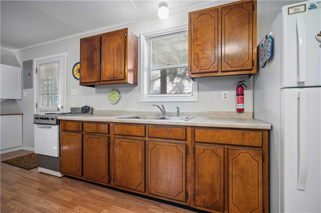 kitchen featuring white appliances, light hardwood / wood-style flooring, a wealth of natural light, and crown molding