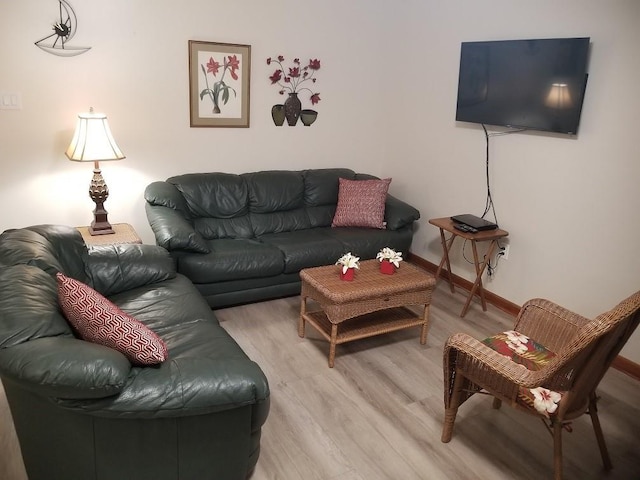 living room featuring hardwood / wood-style flooring