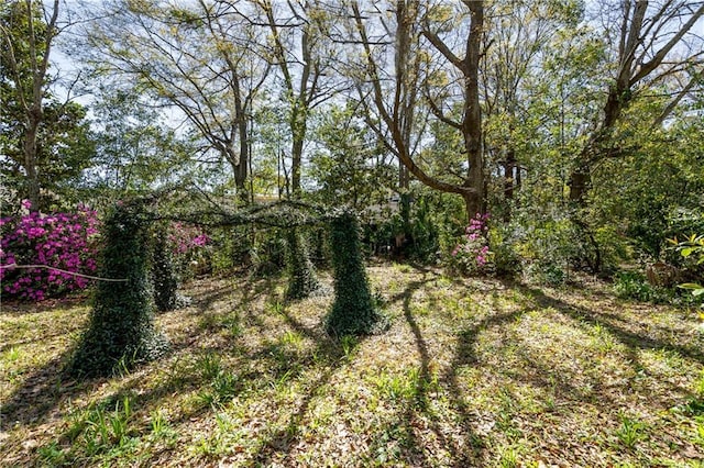 201 Catherine St S, Mobile, AL 36604 - view of local wilderness