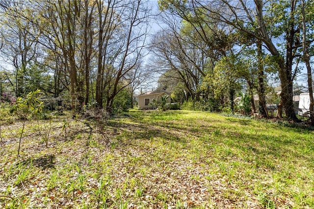 201 Catherine St S, Mobile, AL 36604 - view of yard