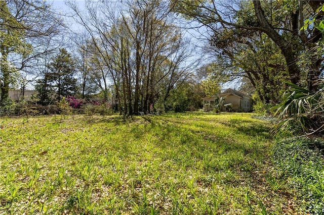 201 Catherine St S, Mobile, AL 36604 - view of yard