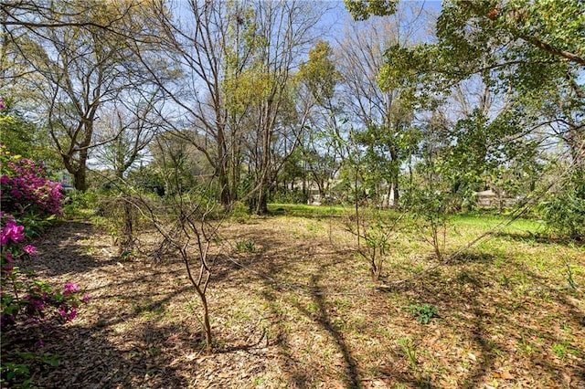 201 Catherine St S, Mobile, AL 36604 - view of landscape