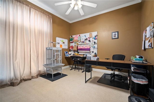 carpeted office with ceiling fan and crown molding