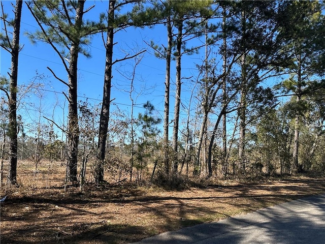 Listing photo 3 for 0 Creel Rd, Theodore AL 36582