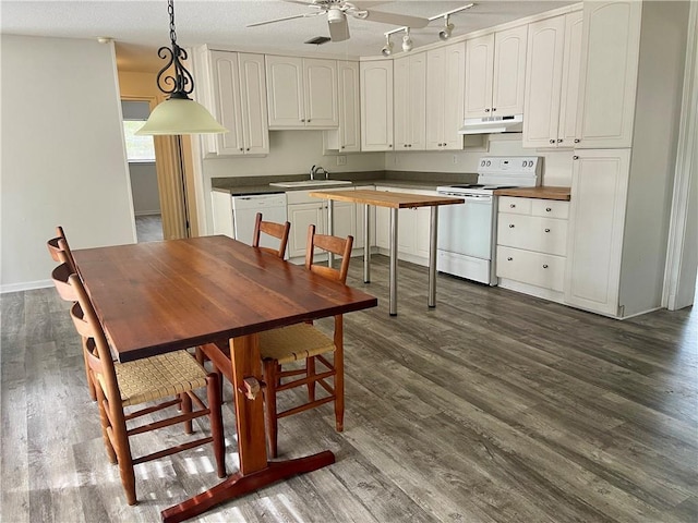 kitchen with dark hardwood / wood-style flooring, white appliances, and decorative light fixtures