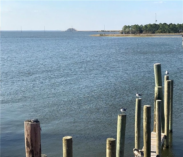 view of dock featuring a water view