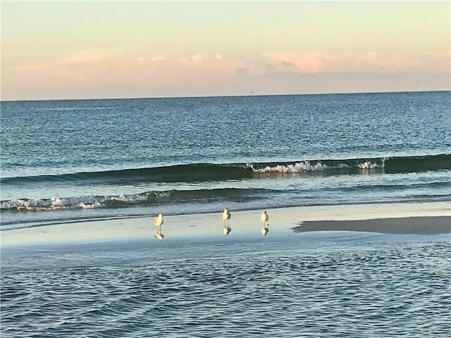 water view featuring a beach view