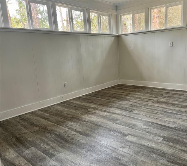 empty room with dark hardwood / wood-style flooring and a wealth of natural light