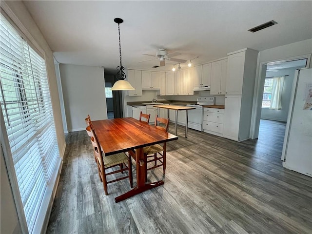 dining room with dark hardwood / wood-style floors, ceiling fan, and sink