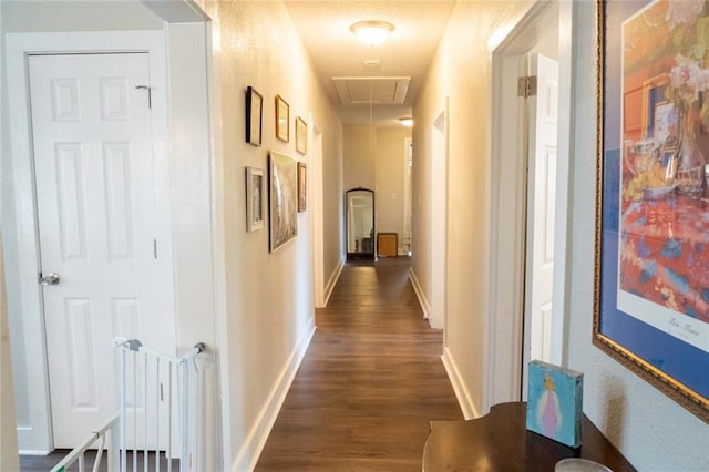 hallway featuring dark wood-type flooring