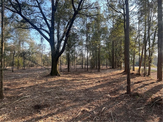 Listing photo 2 for 0 Newman Rd, Mobile AL 36695