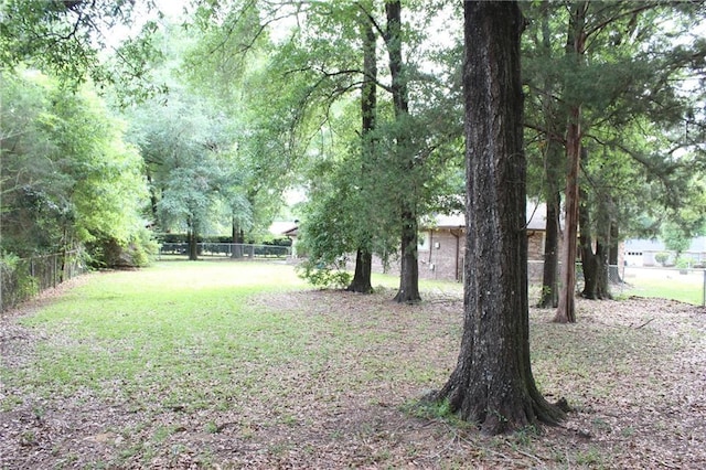 6500 Camden Cir, Mobile, AL 36618 - view of yard